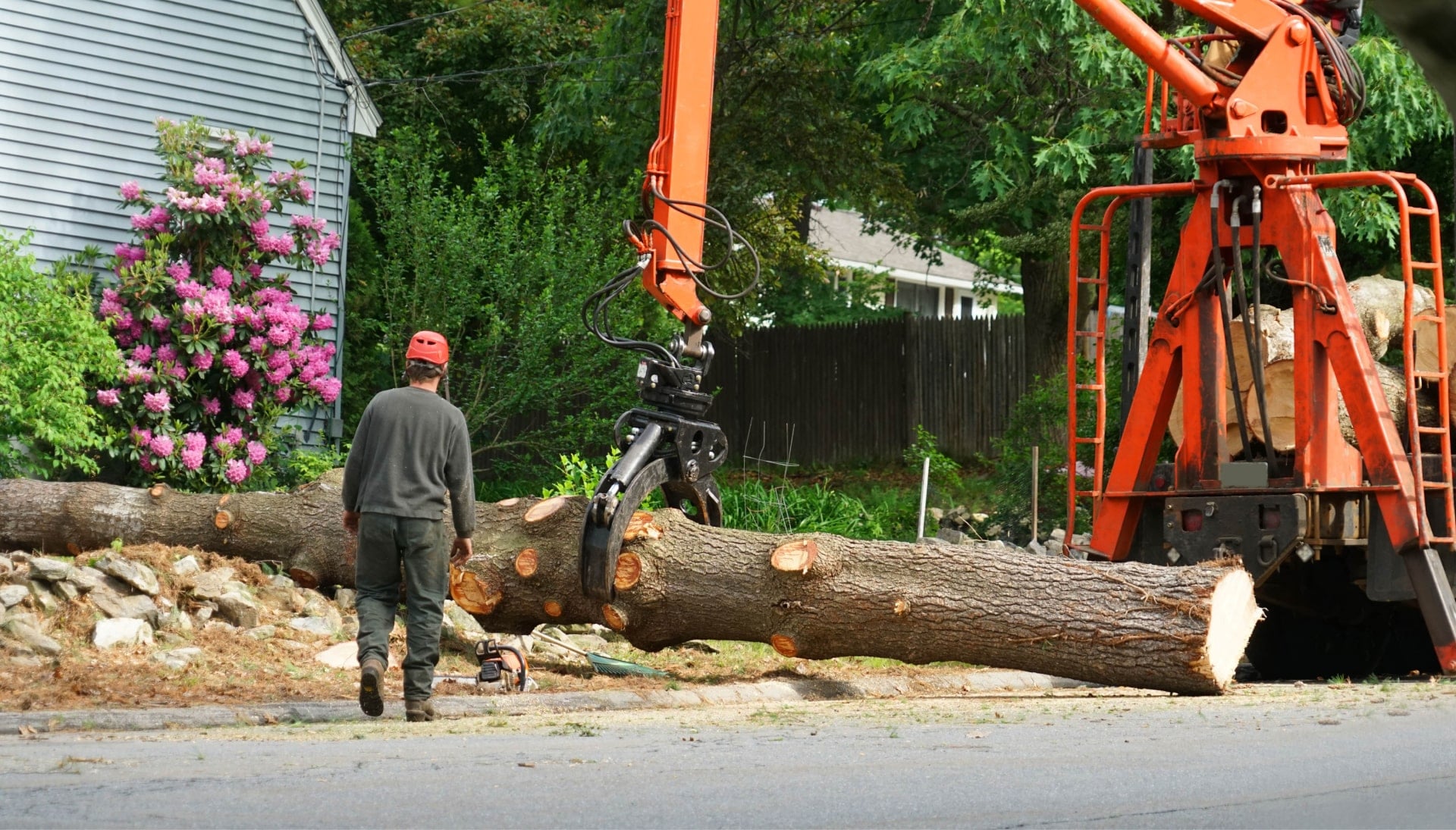 Local partner for Tree removal services in Kenosha