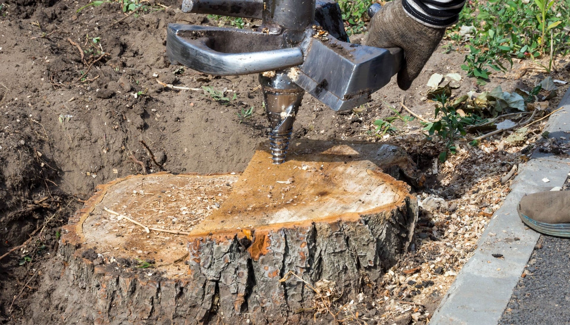 Kenosha Tree stump removal